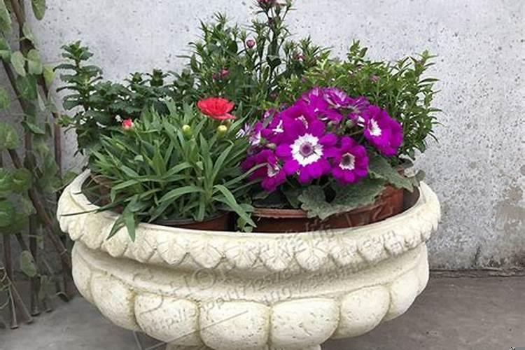 别墅大门口放什么风水好