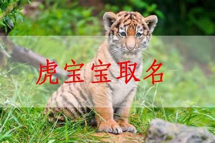 宝宝如何起名字才好