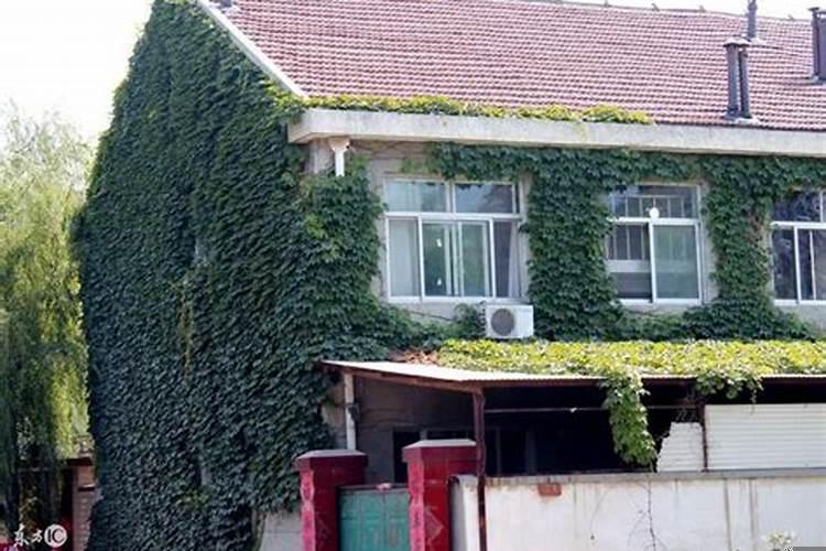 五鬼婚配怎么化解