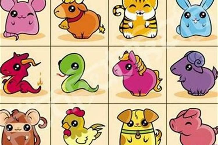 属相婚配很重要吗?