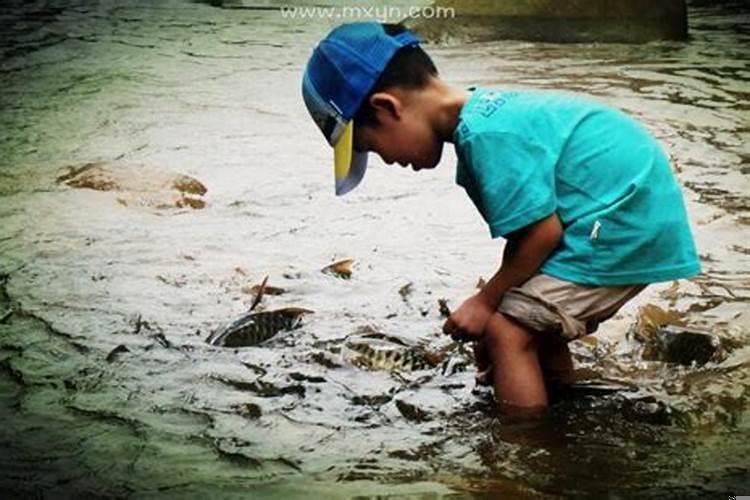 做梦逮鱼啥意思