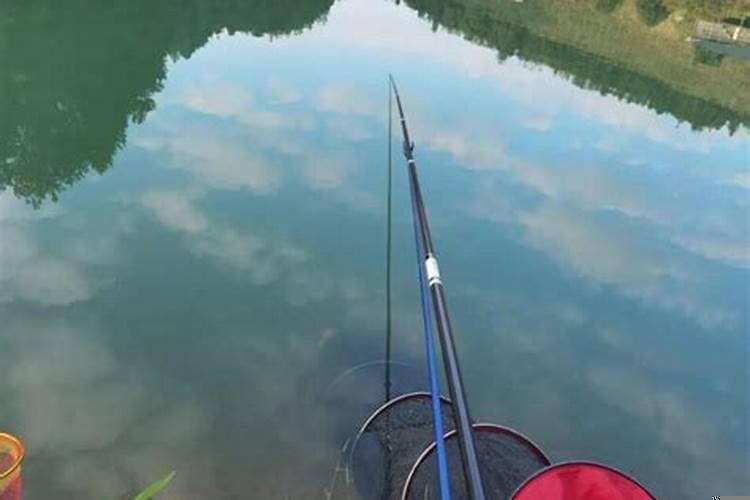 做梦逮鱼啥意思