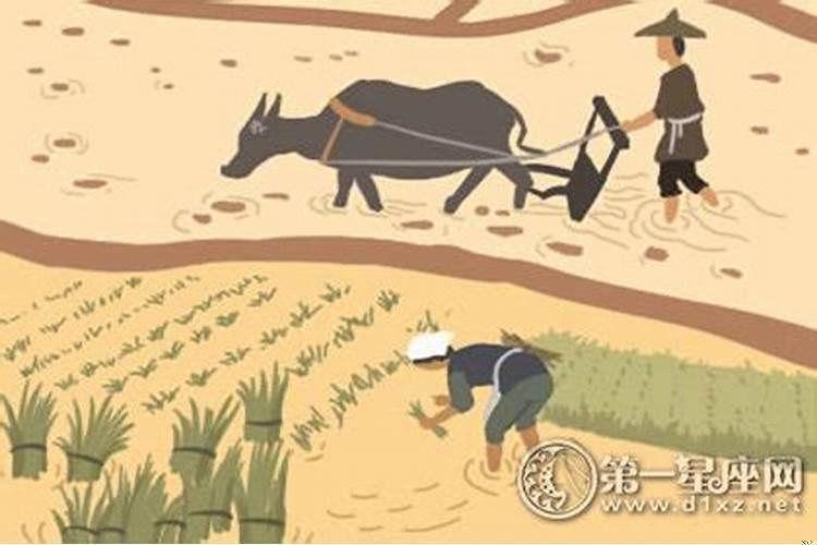 属羊的名人有谁