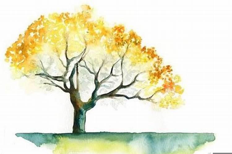 属蛇女适合佩戴什么手链