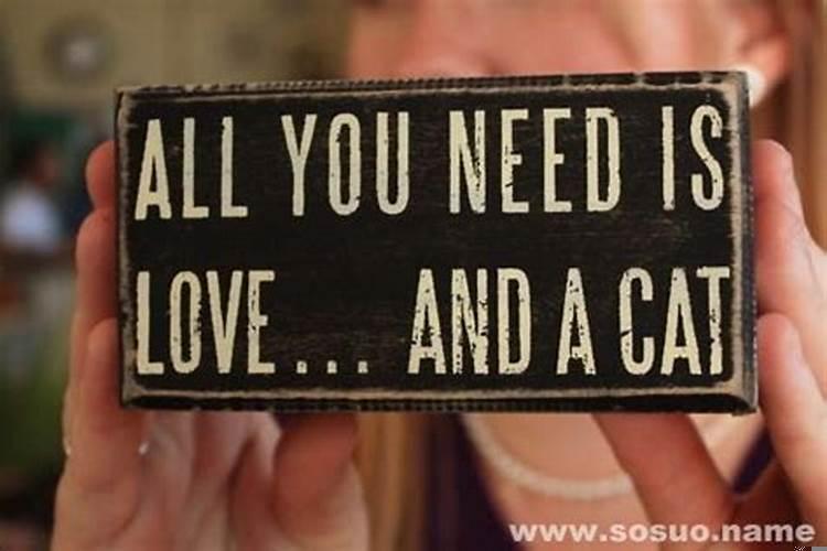 做了个不开心的梦