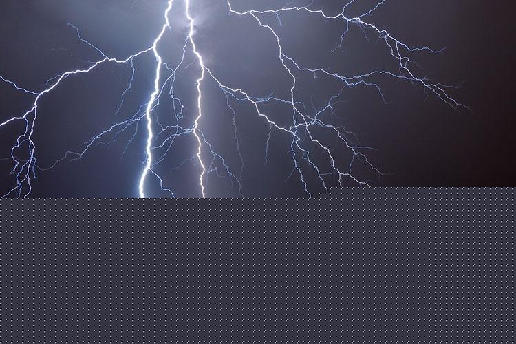 生肖属猪的人的性格