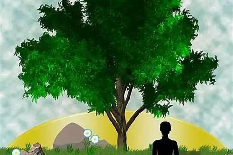 如何提高一个人的悟性