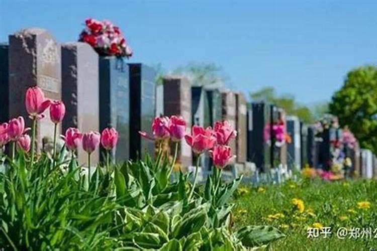 夏至三庚入伏一庚是多少天