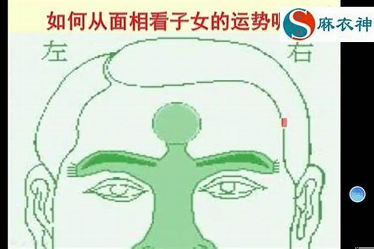 面相看子女运势