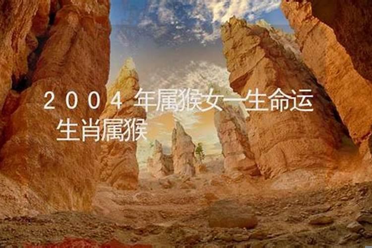 2004年出生男孩一生命运