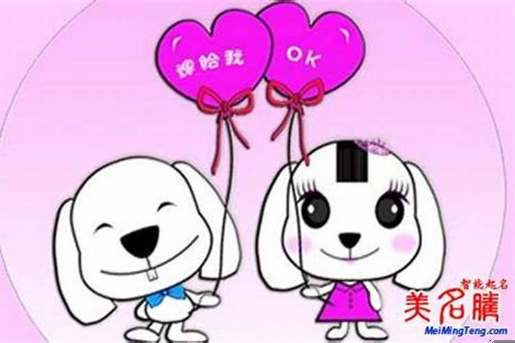 属狗宝宝起名宜忌