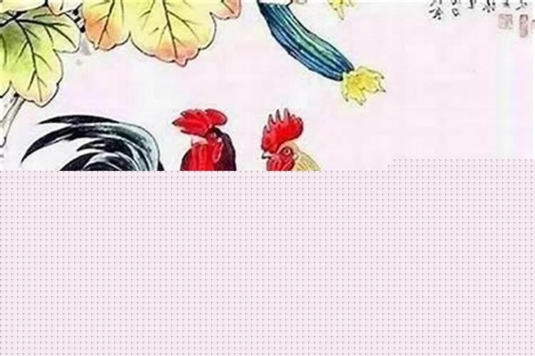 生肖鸡男人的性格和爱情观