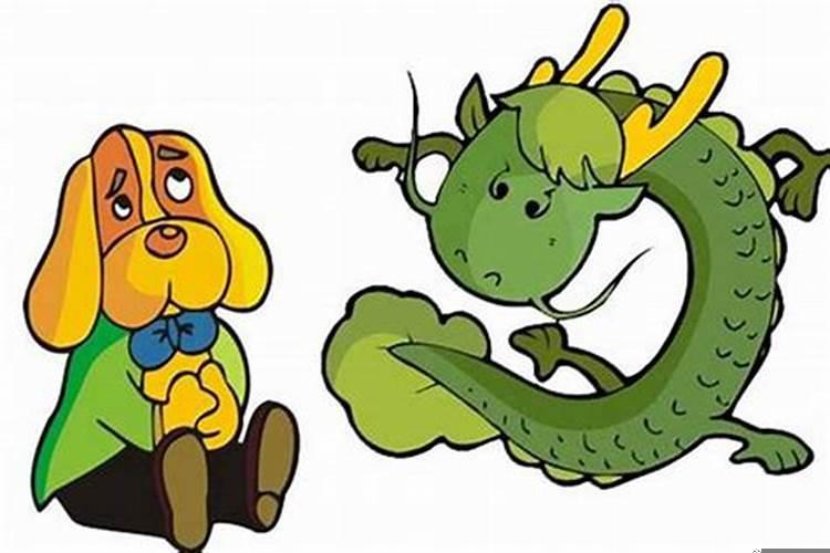 属龙和属狗合不合财运