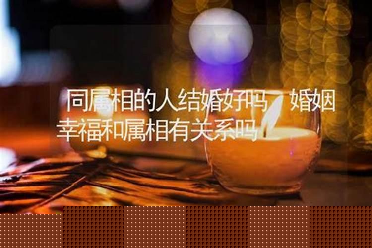 和属羊的人结婚好吗