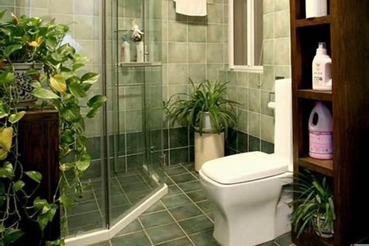 小区内有河流风水好吗