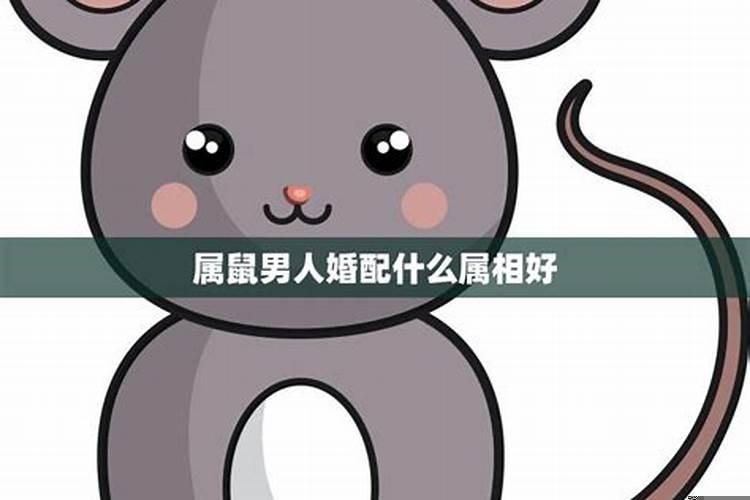 属鼠的96年和什么属相最般配