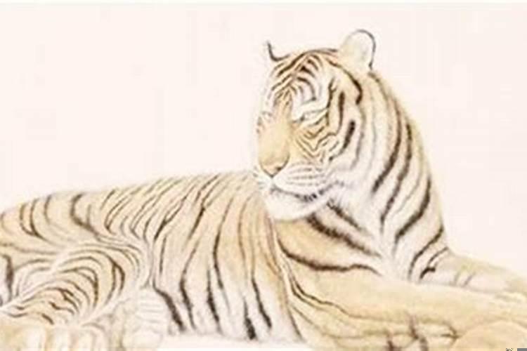 2004年出生男孩一生命运