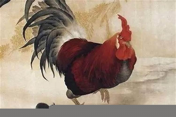 家里三个属鸡请问吉利吗