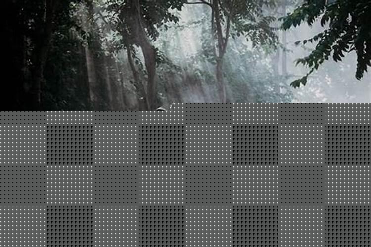 晚上做梦梦到我的死去母亲好还是不好