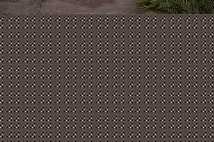 1976骞存矙涓湡鏄粈涔堝懡