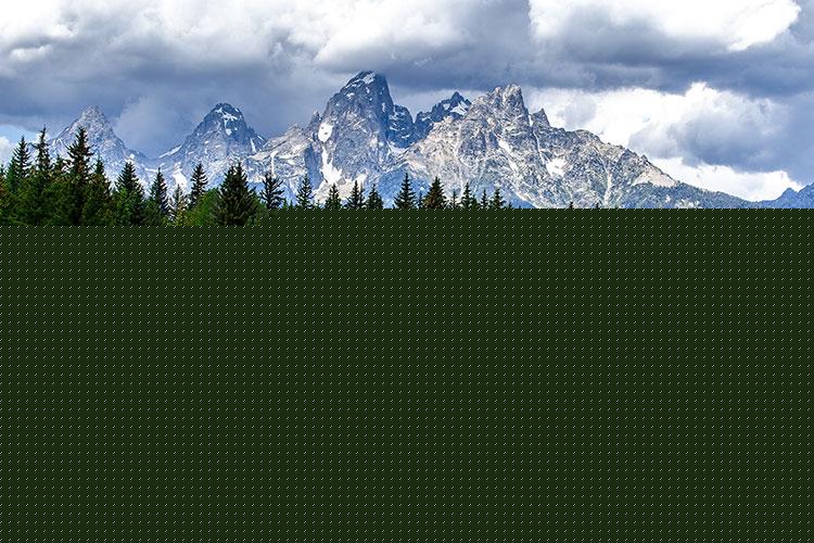 烂桃花会影响正缘到来吗