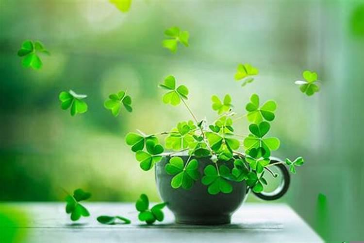 梦见别人手捧骨灰盒什么征兆