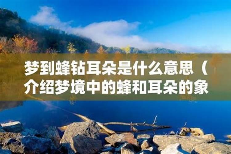 为什么情侣会做同样的梦