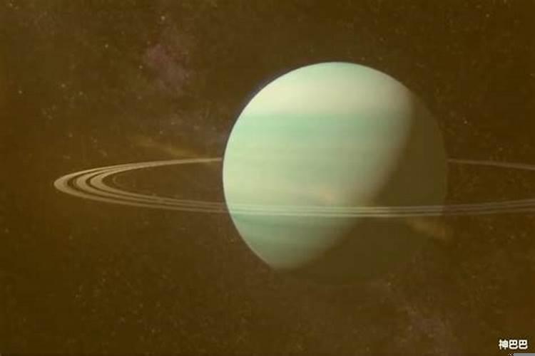 海王星代表的星座