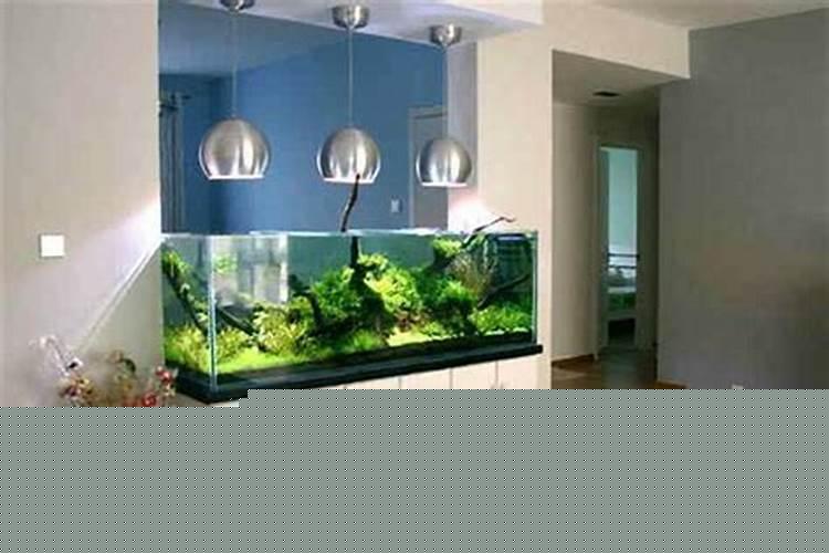 卧室不能放鱼缸的东西吗