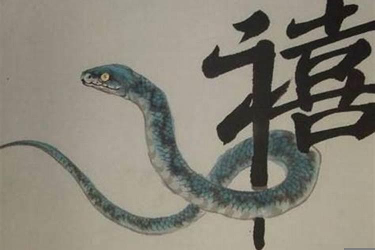 77年属蛇后半辈子怎么样