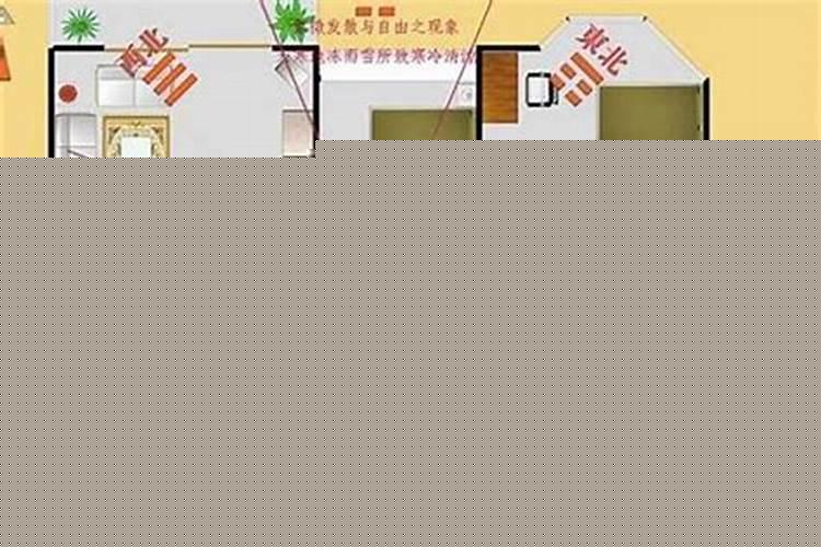 家中的财位适合摆放什么