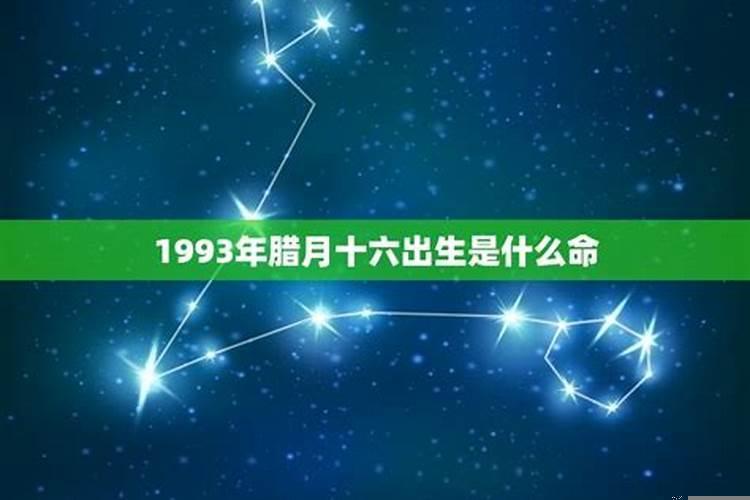 1982年阳历2月26日是什么星座