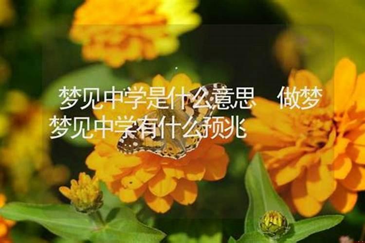 梦见初中是什么意思