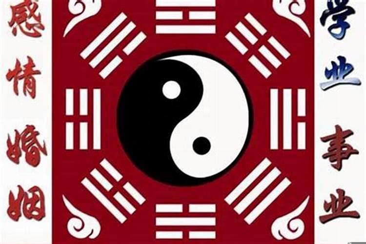 命苦的女命八字