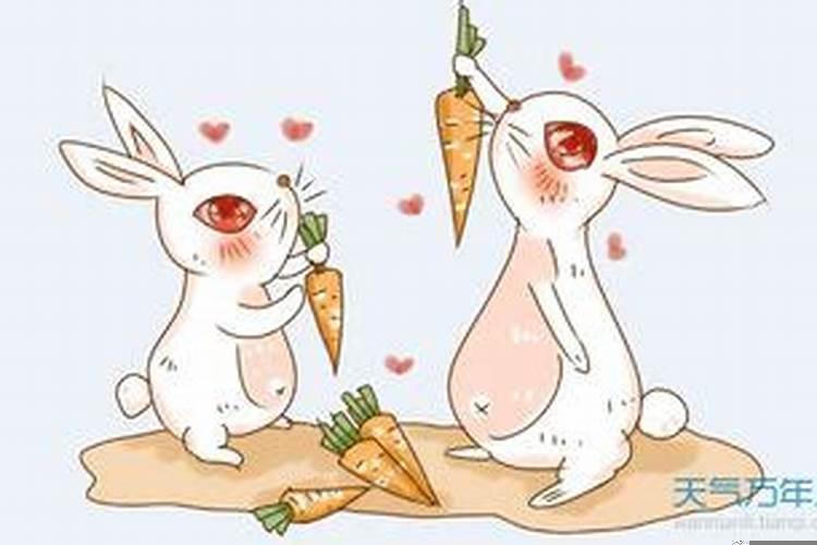 87年八月初四兔是什么命