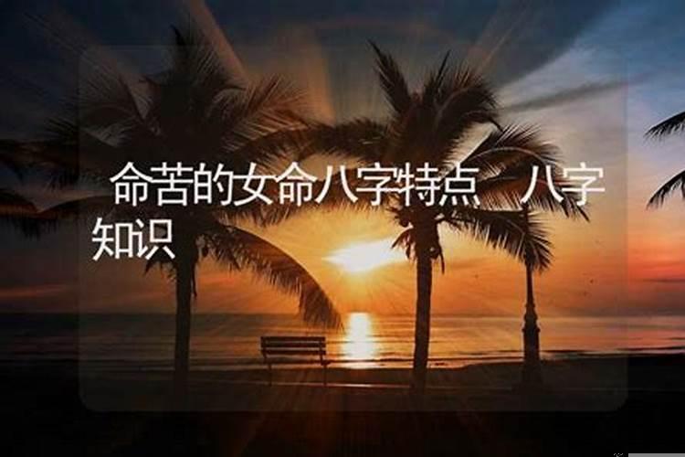 命苦的女命八字