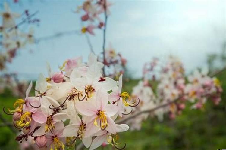 最难相处的生肖女