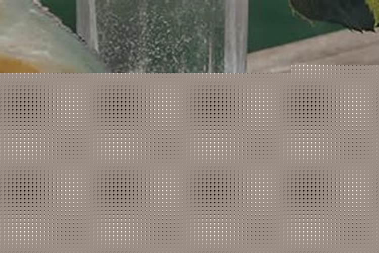 2025年重阳节是吉日吗