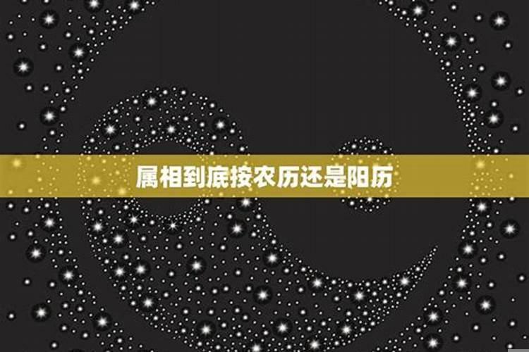 属相到底按农历还是阳历