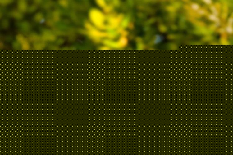 ??????????????????????????????