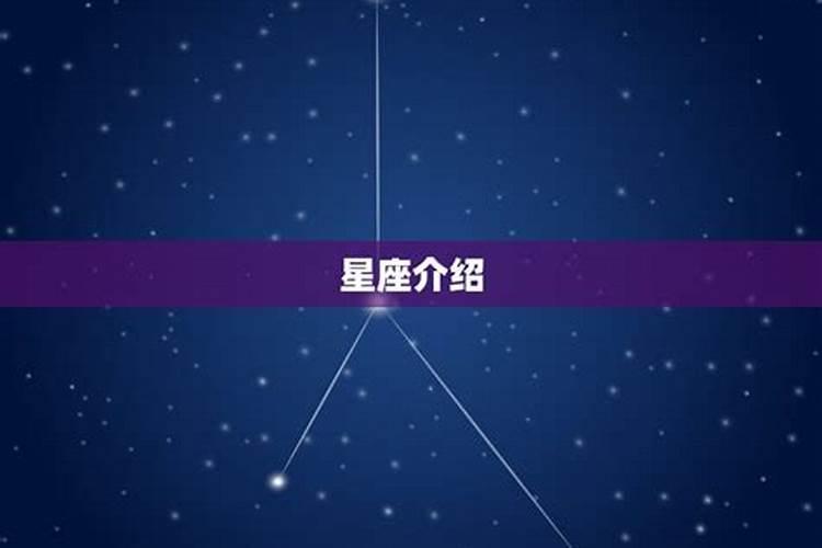 63年属兔人的爱情