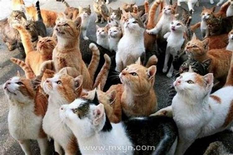 梦见别人手捧骨灰盒什么征兆