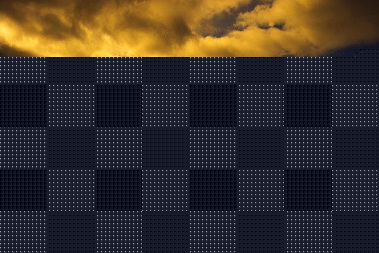 属狗的与属牛的合财吗