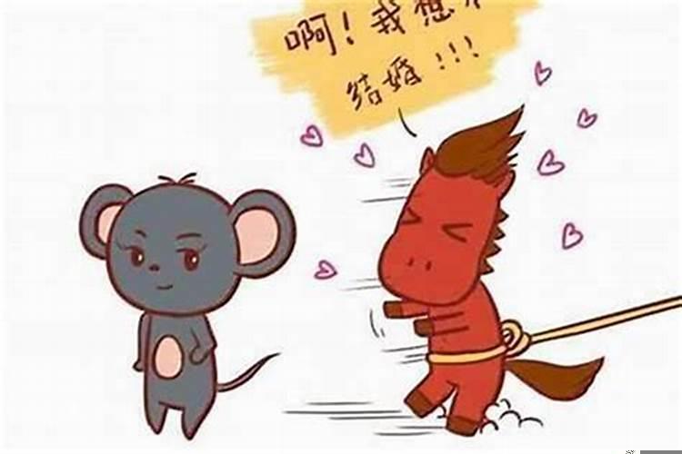 属鼠女和属猪男的婚姻相配吗