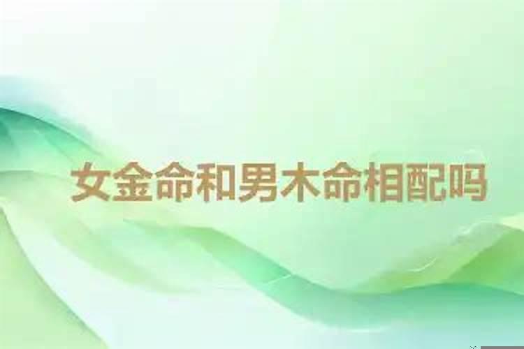 男的金命女的木命在一起好吗