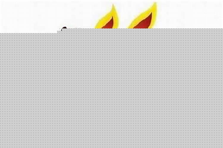 属兔的今年是本命年吗