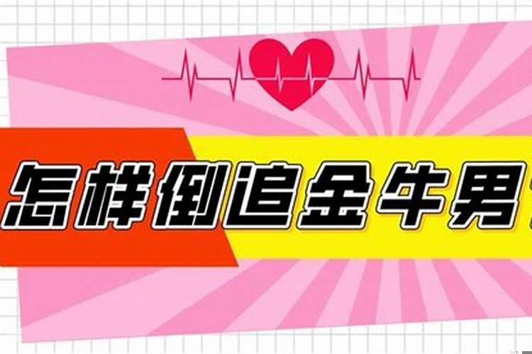 倒追金牛男是什么体验