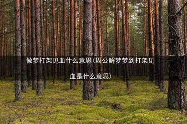 梦到自己打架见血什么意思