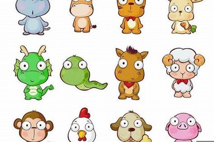 十二生肖财运配对之合作篇