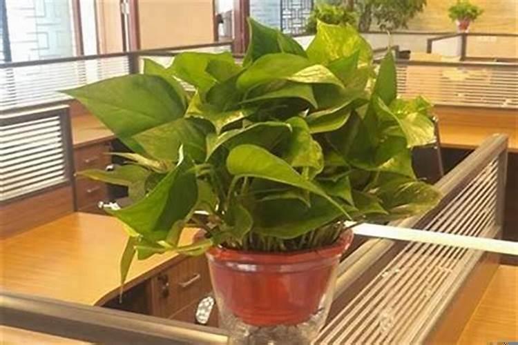 办公室怎么防小人风水